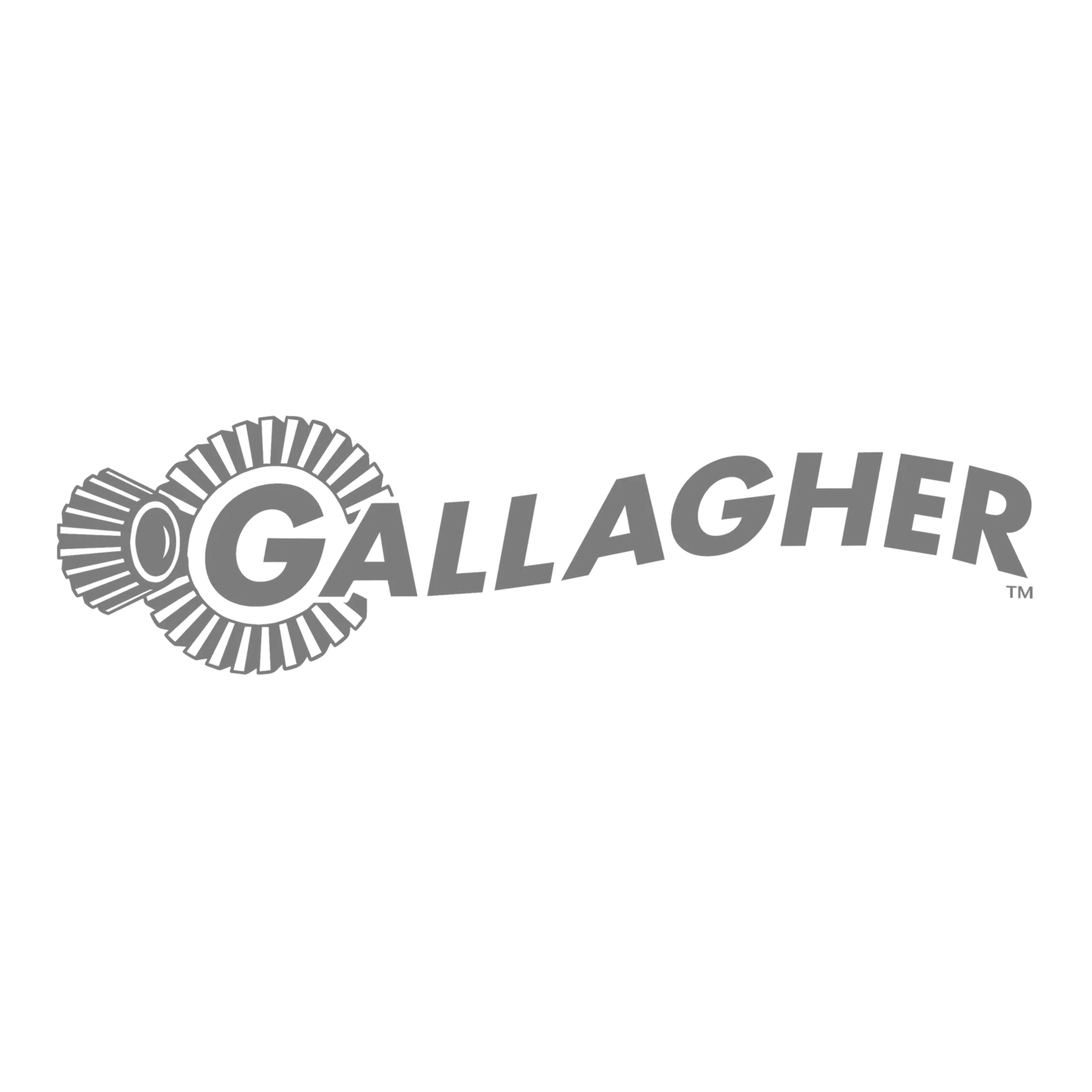 Visit Gallagher Security website